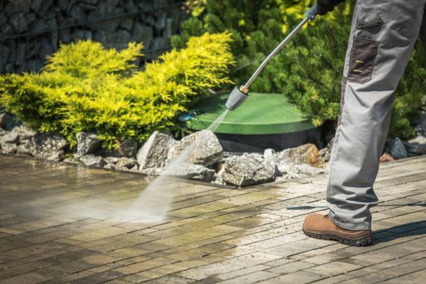 Best Driveway Cleaning and Restoration in Canton, IL